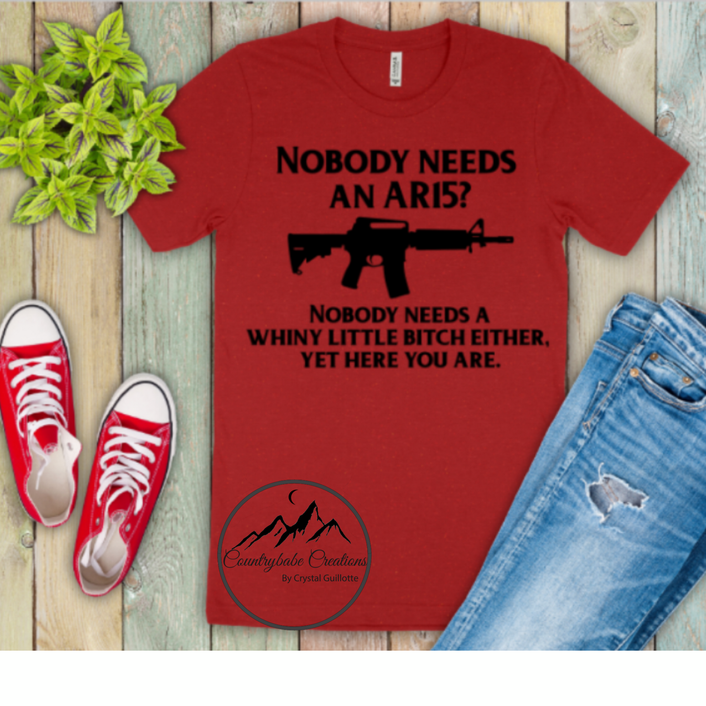 Nobody needs an AR15?